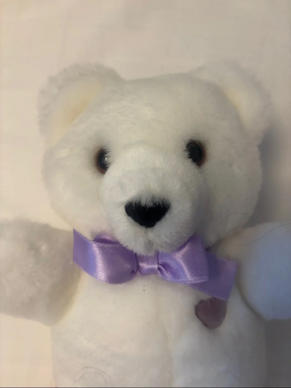Dakin cuddly white