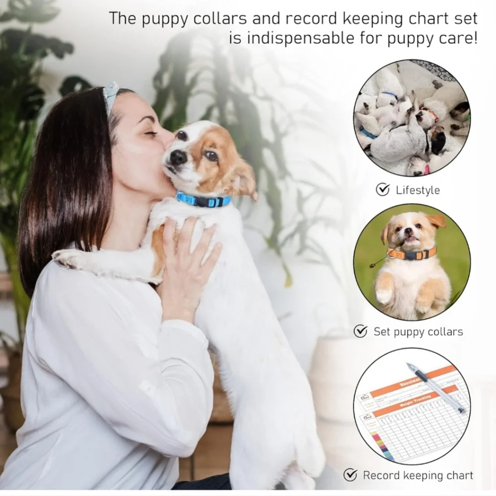 PONCRAFTS puppy collars
