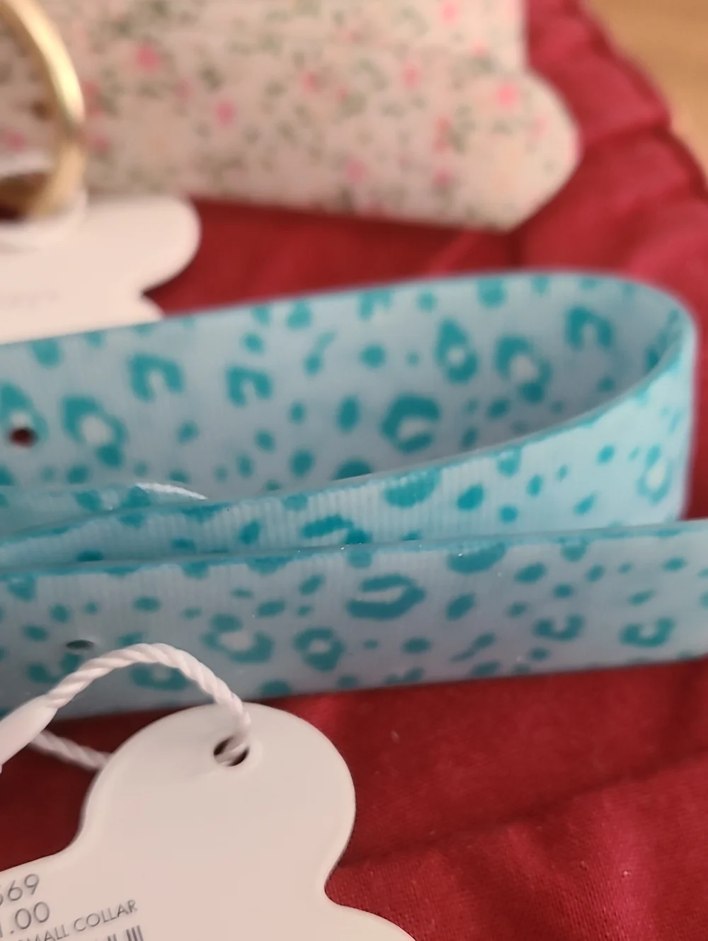 Pet Floral and Teal Collar Set