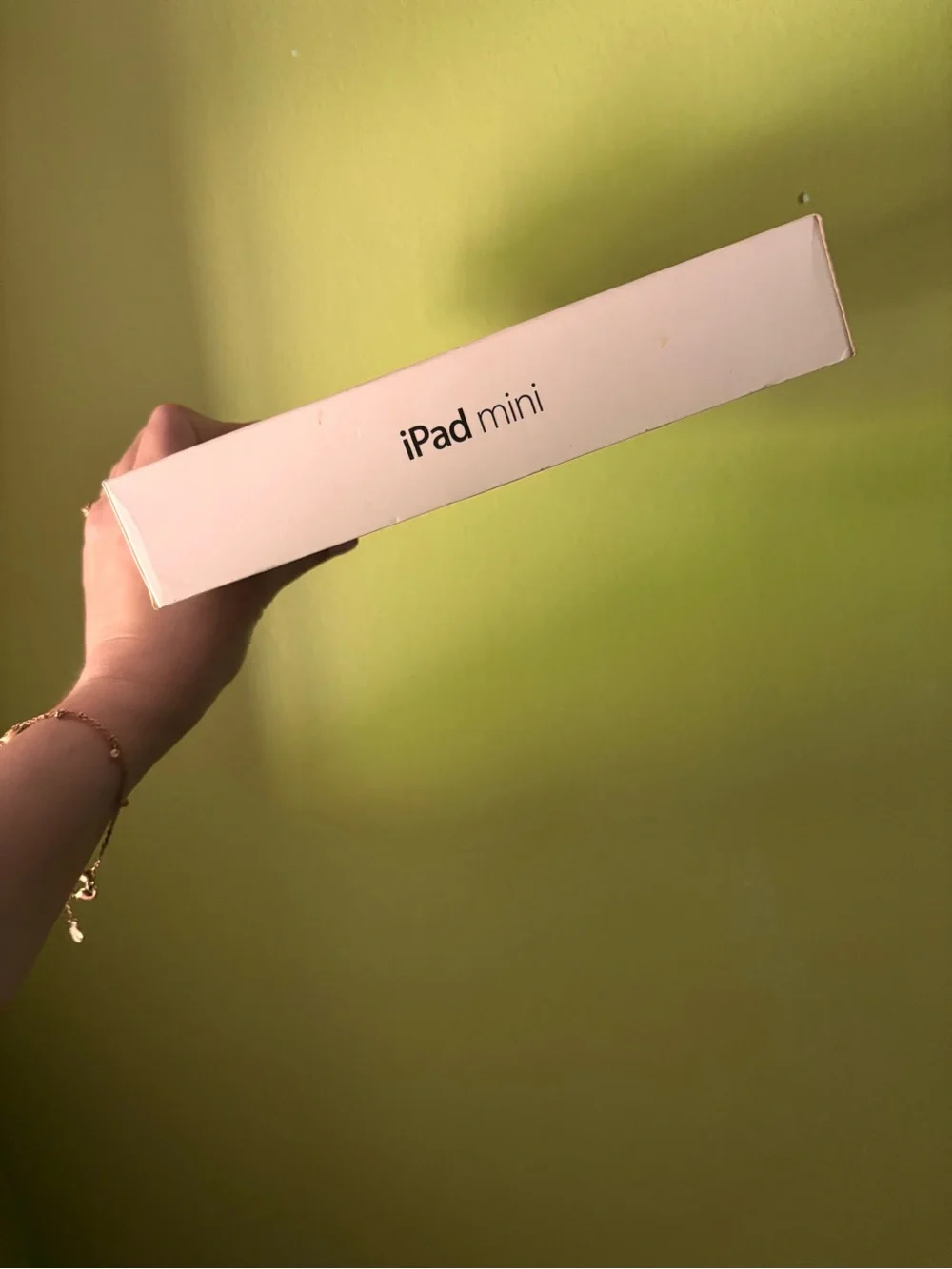 Apple iPad Mini Box EMPTY (Black)