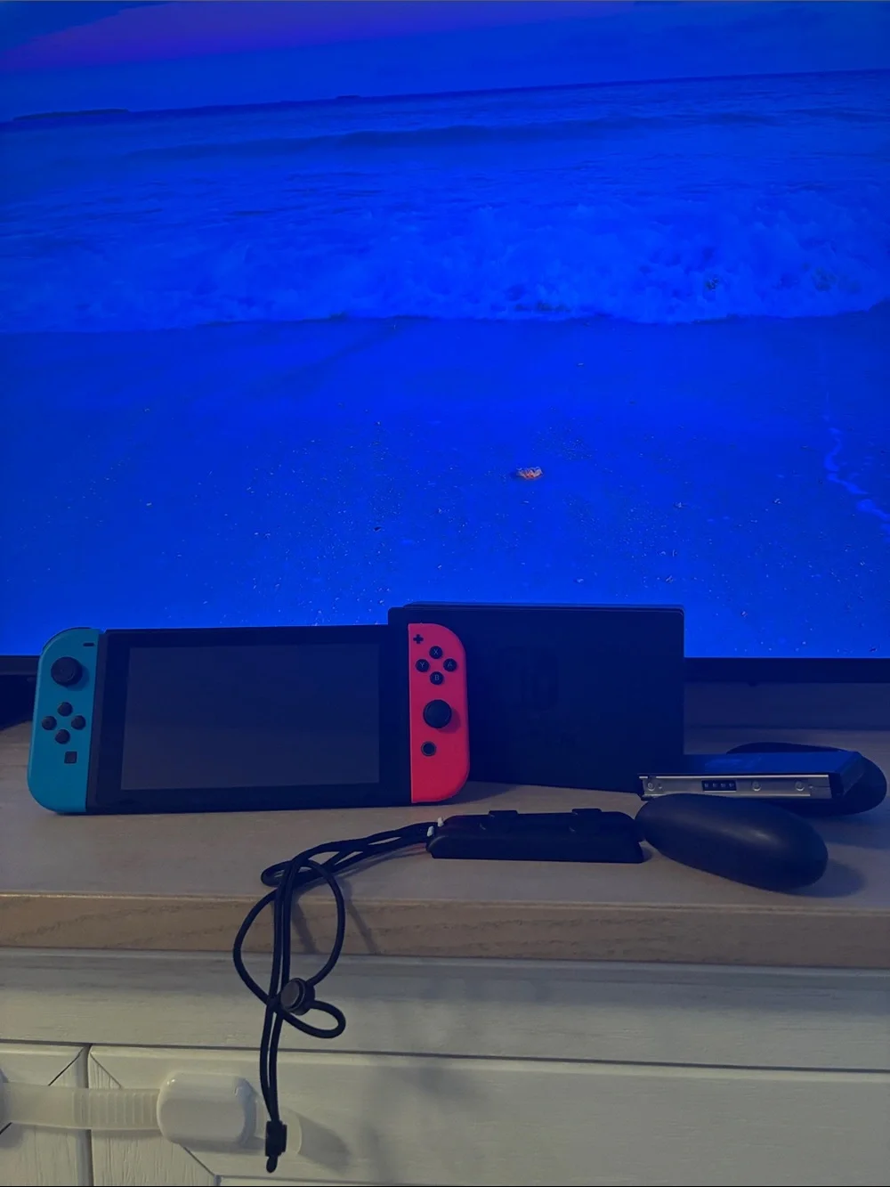Nintendo portable switch