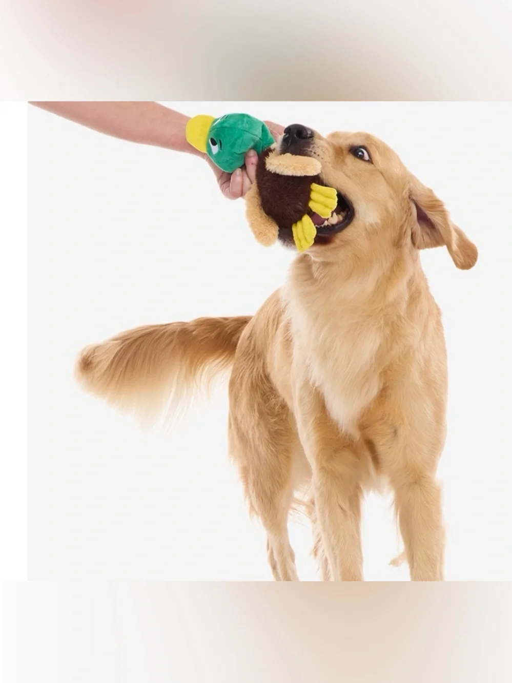Barkbox dog toy L Duck NEW thrash, whip, squeak & crinkle
