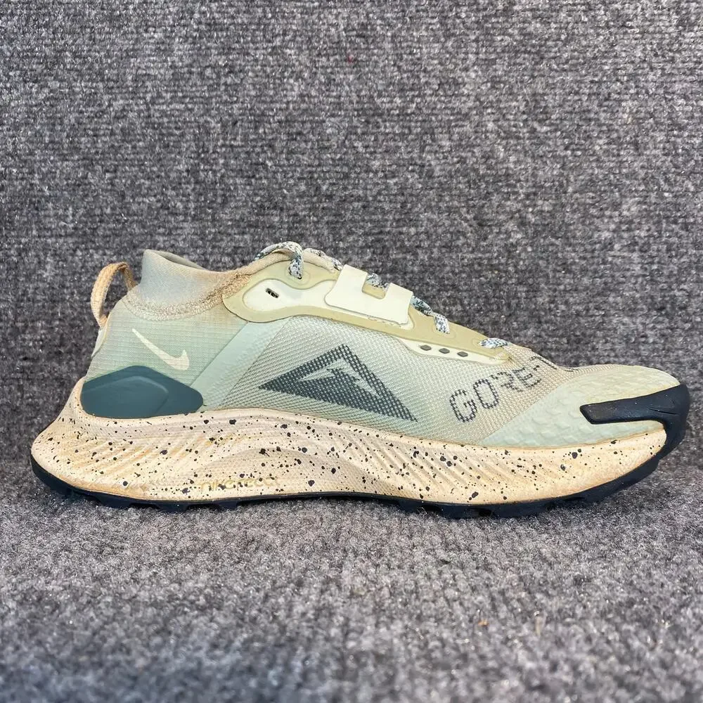 Nike pegasus trail