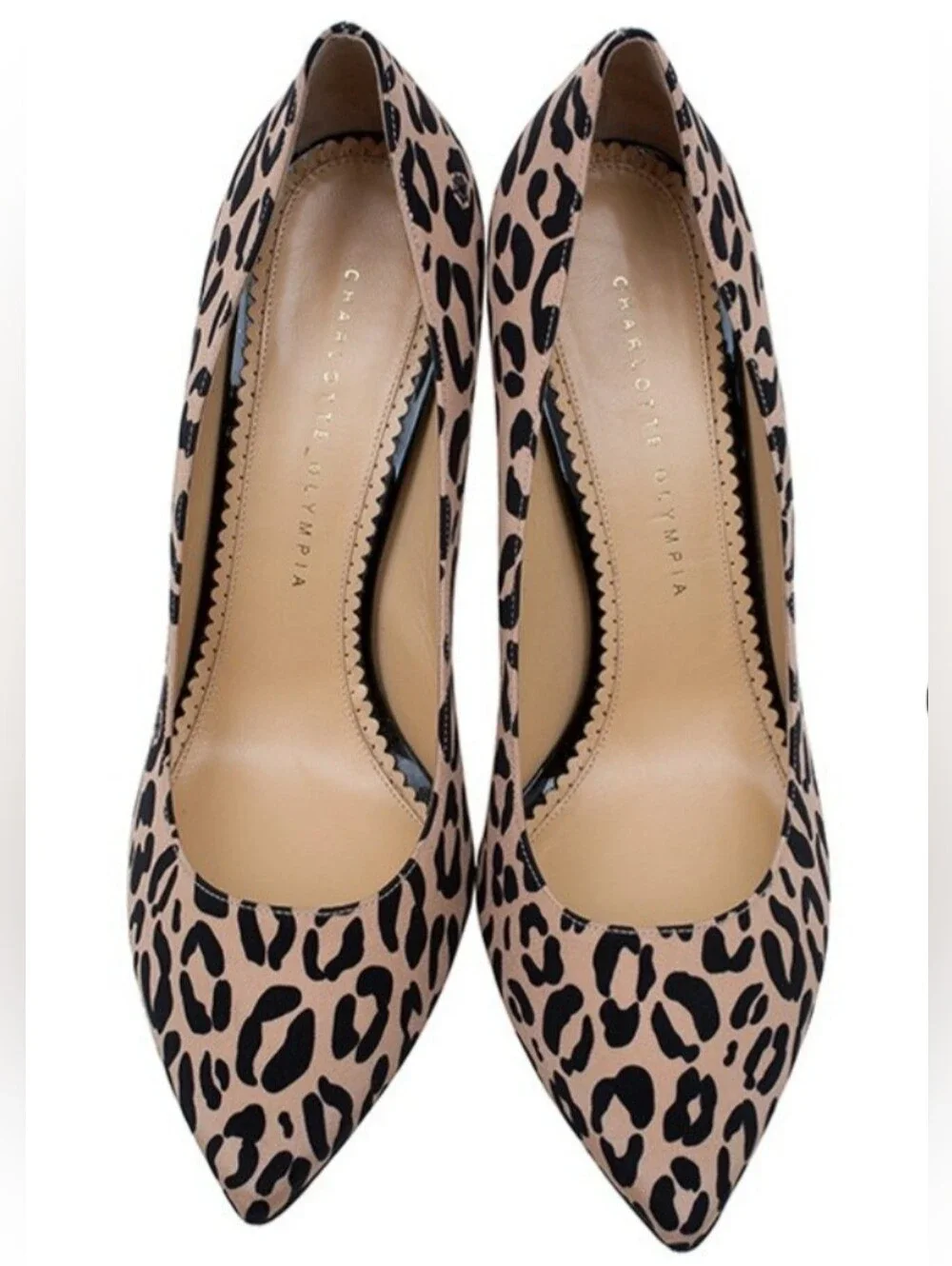 Charlotte Olympia charlotte olympia