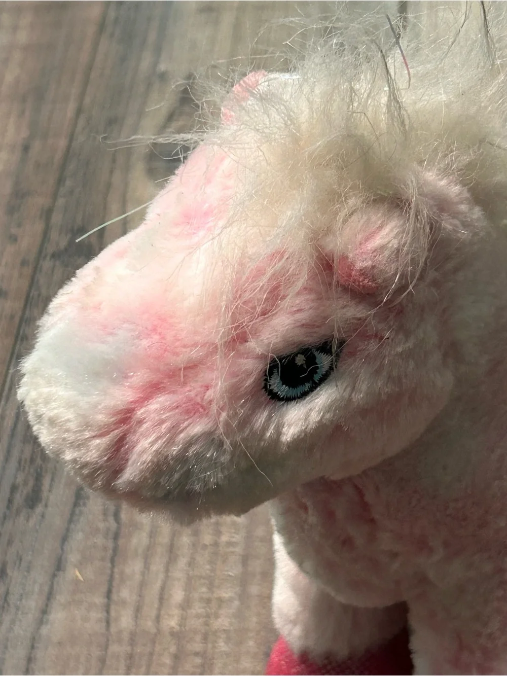 webkinz ganz pink
