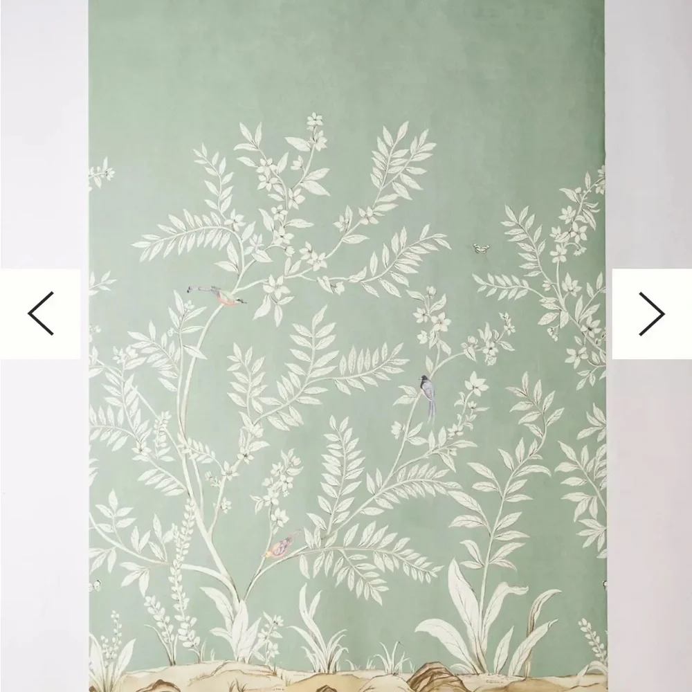 Anthropologie enhance your