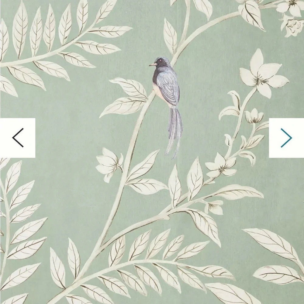 Anthropologie enhance your