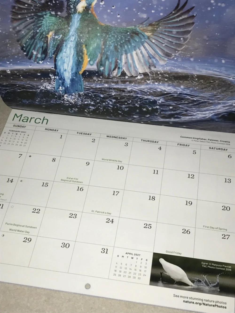 Nature Conservancy do you