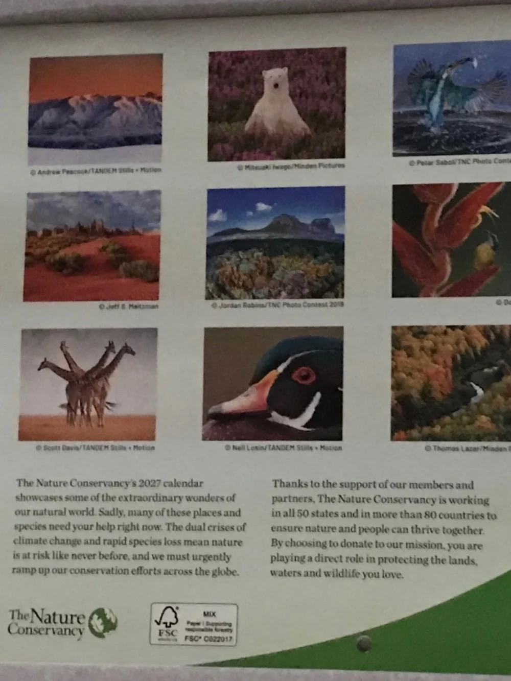 Nature Conservancy do you
