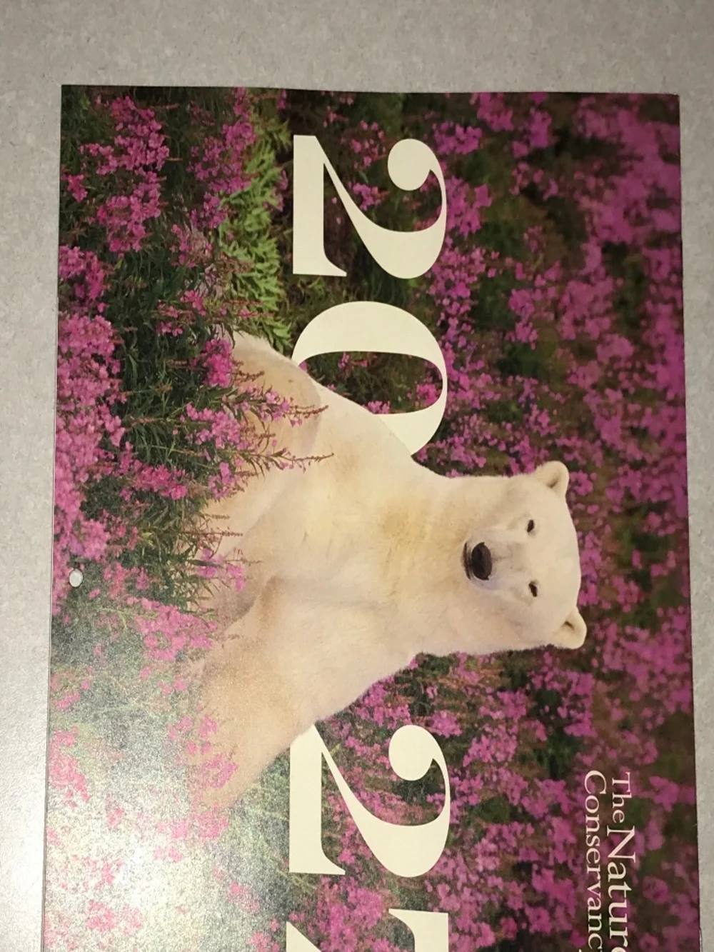 Nature Conservancy do you