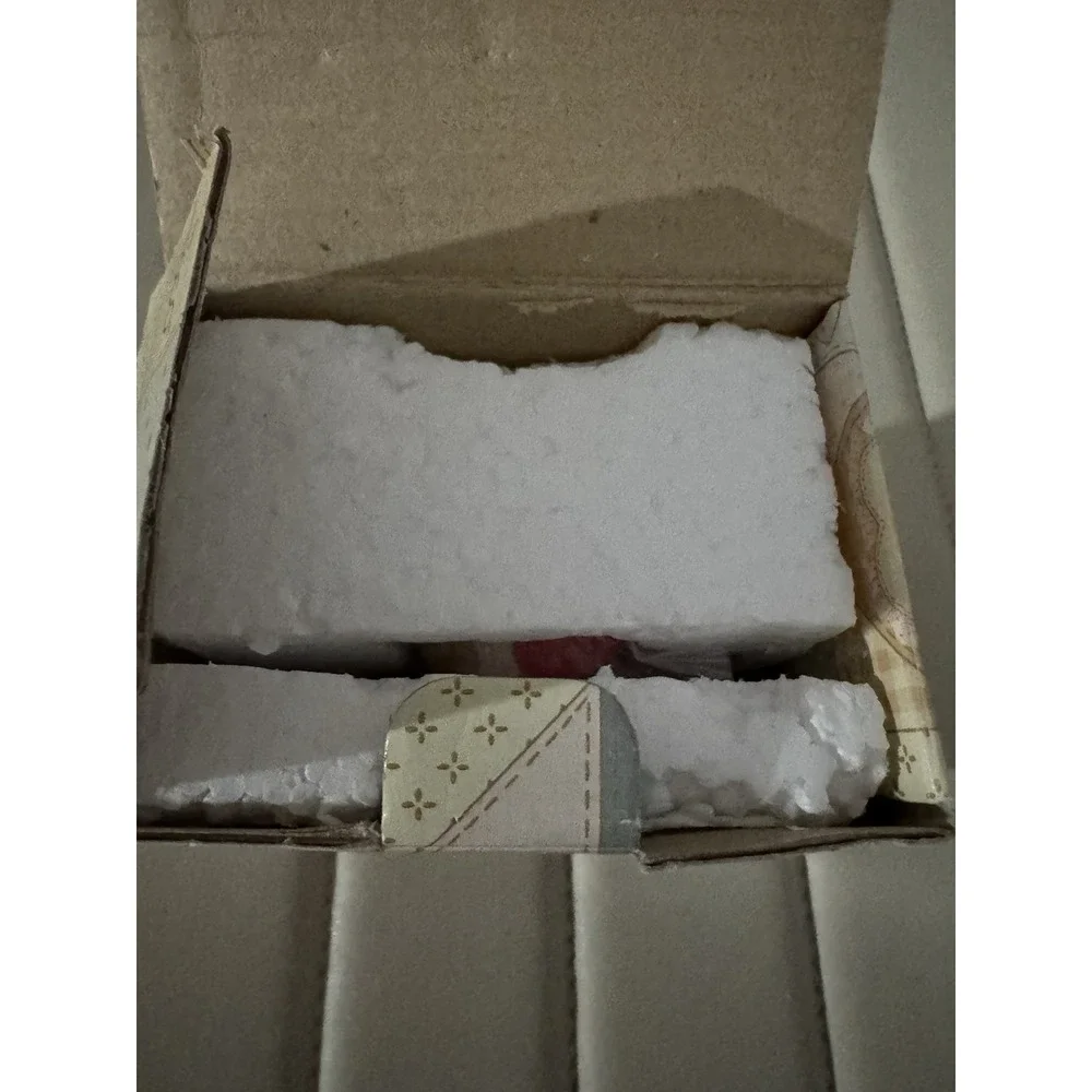 Calico Kittens excellent used
