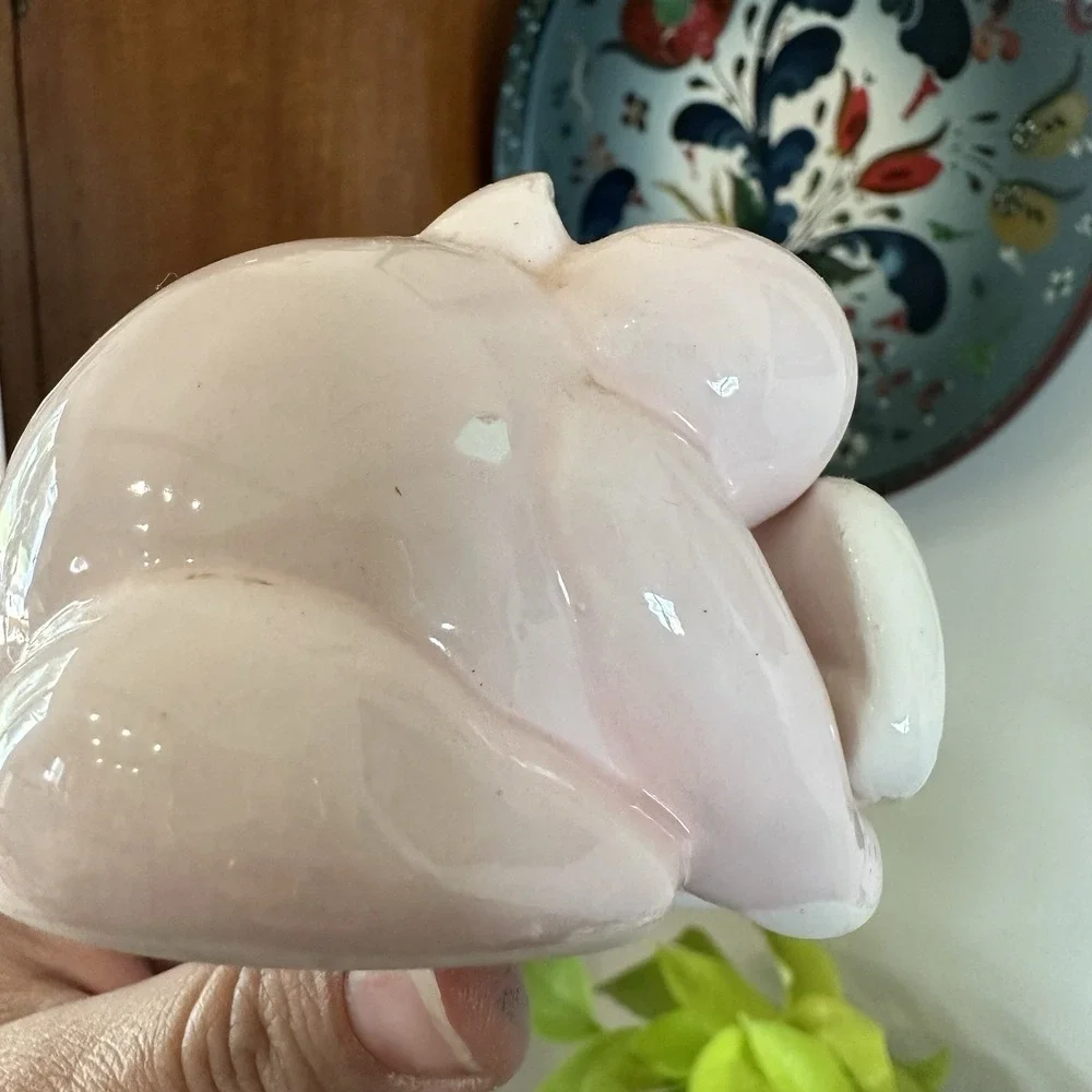 The Unbranded Brand shipped pig usps