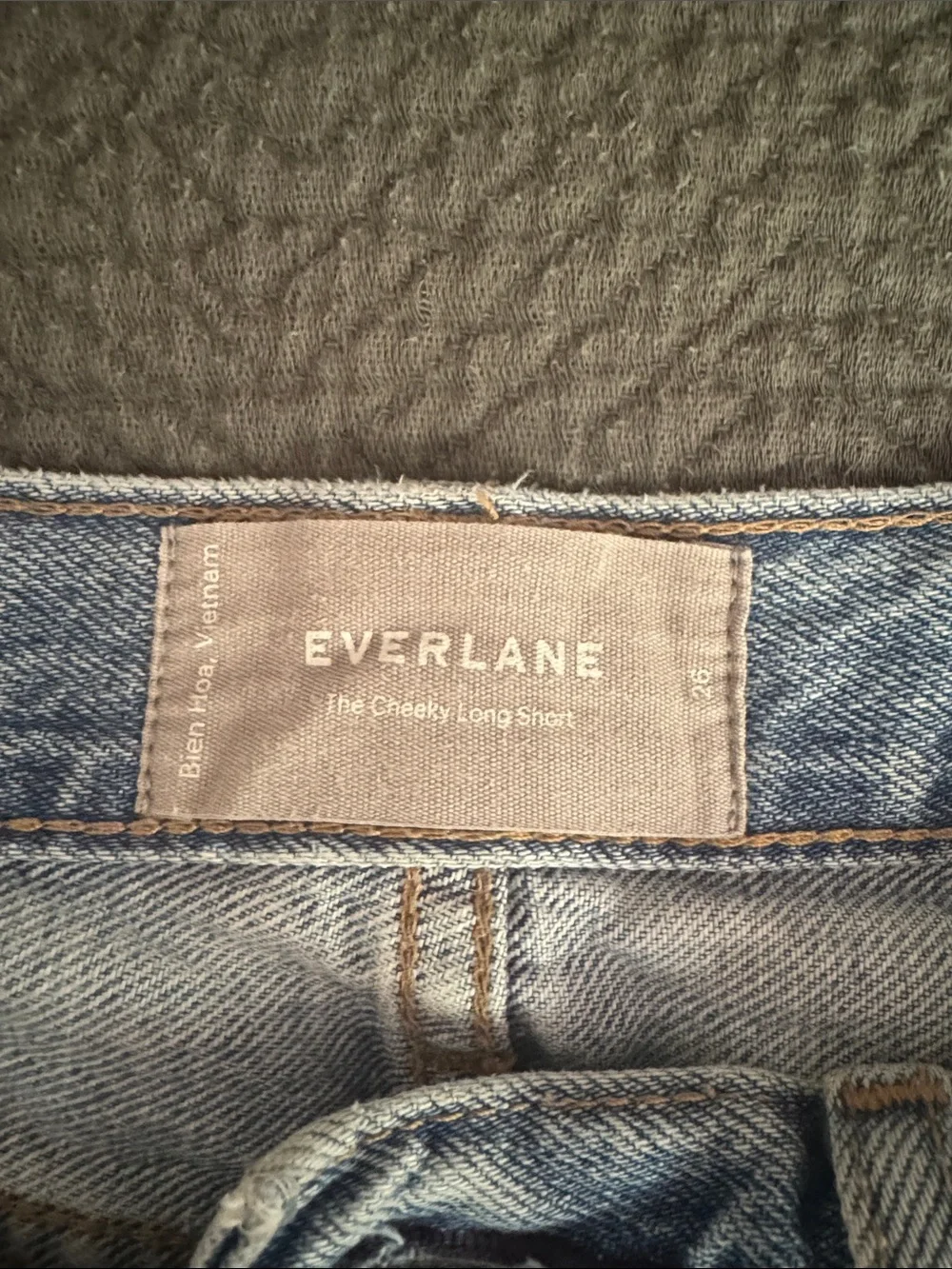 Everlane Cheeky Long Short