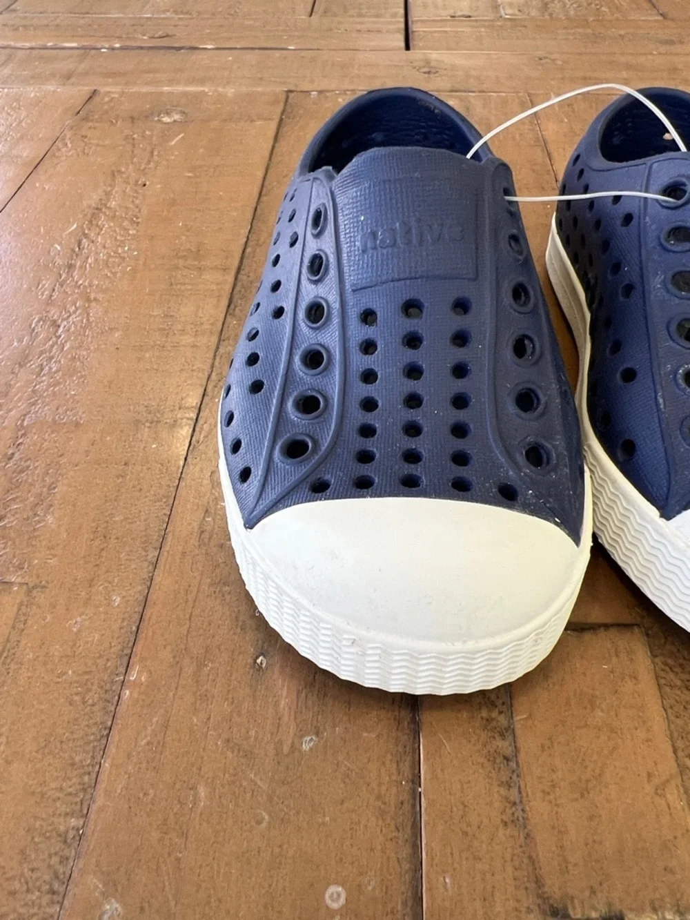Native cadet blue