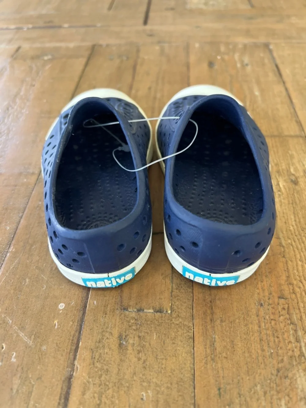 Native cadet blue