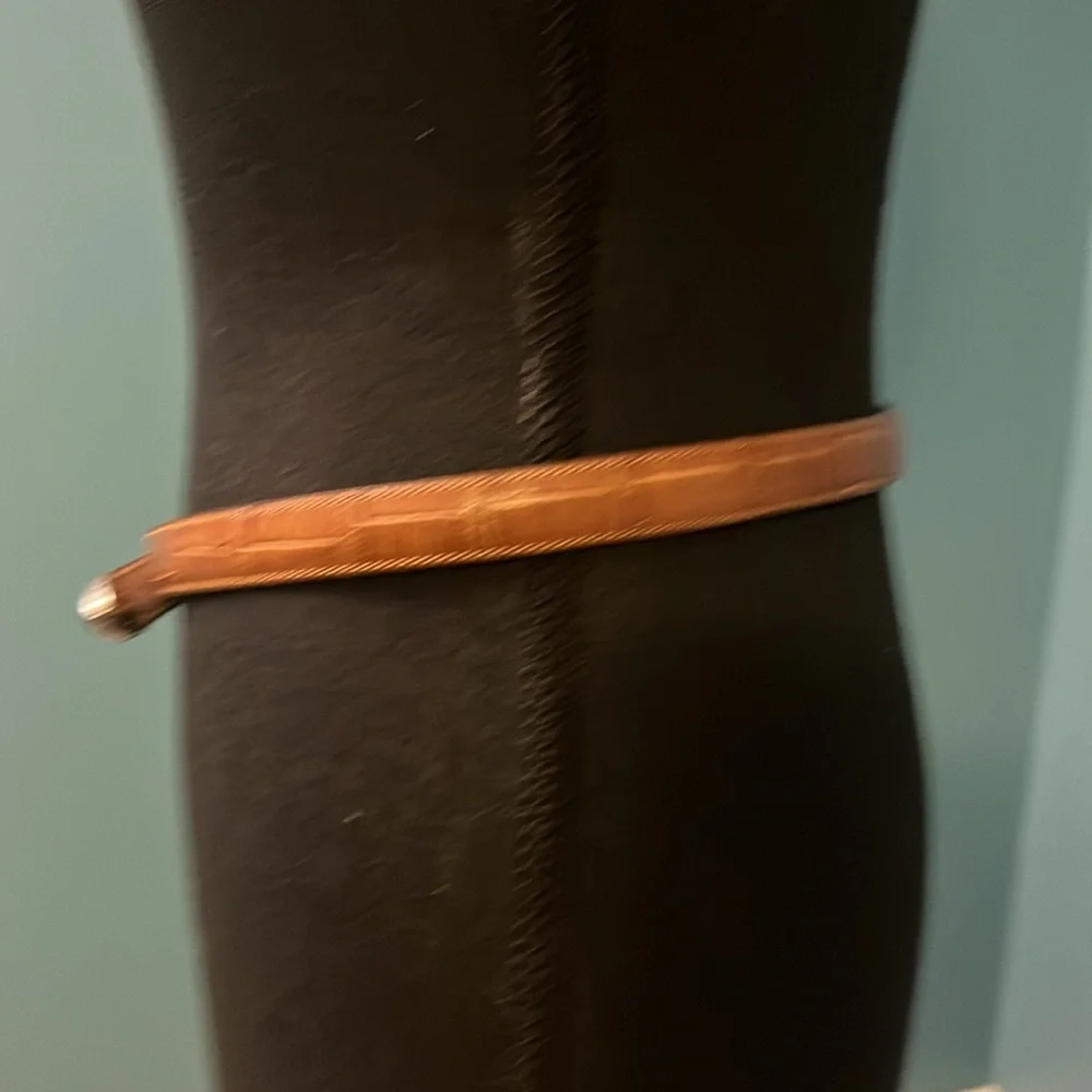 Brighton Brown with Silver Buckle Belt Size M/L