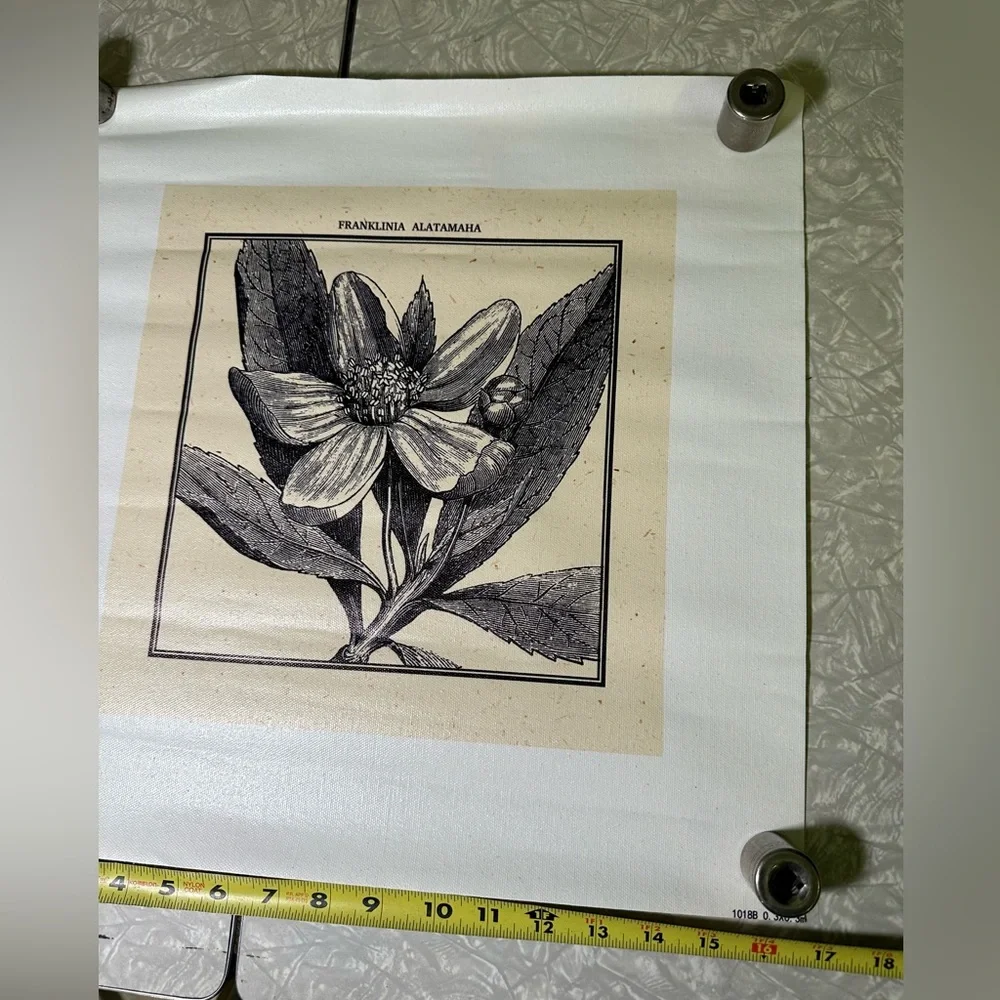 N/A or black print