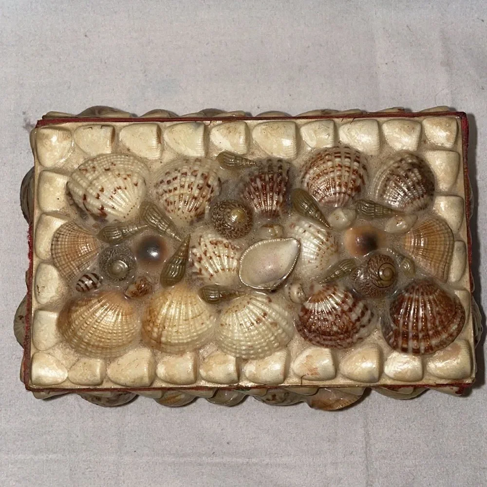 Shell Covered Small Box