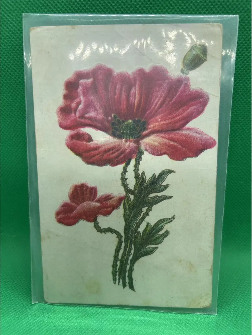 Vintage 1914 Postcard with Red Poppy Flower Illustration - Box1