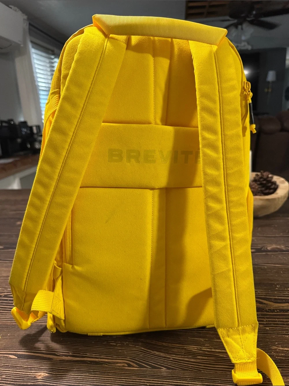 Brevite questions leave