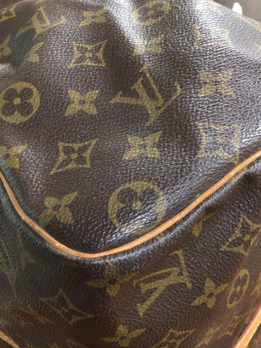 Louis Vuitton spacious louis