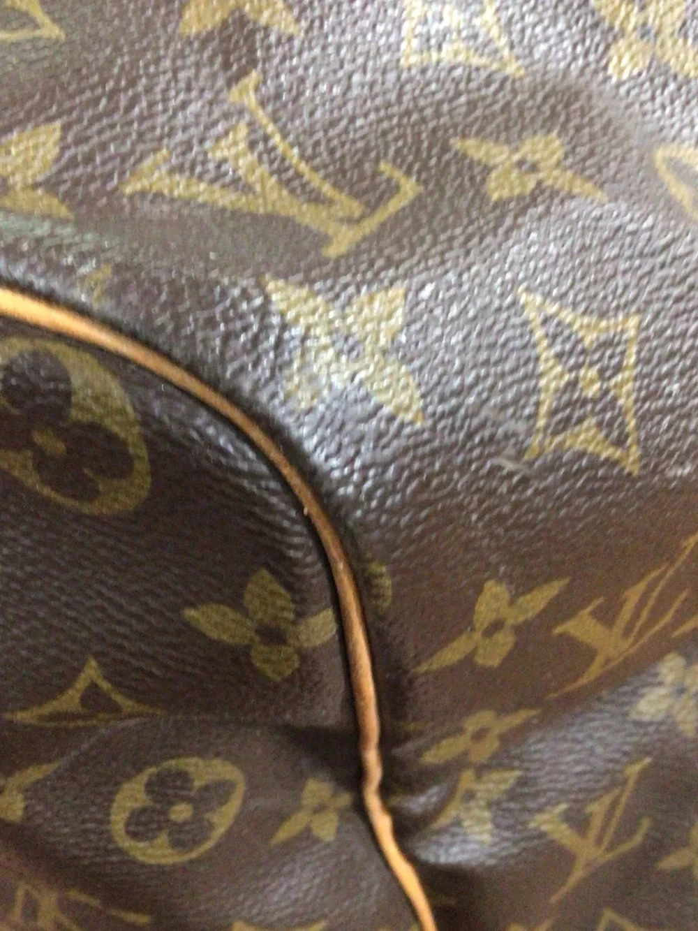 Louis Vuitton spacious louis