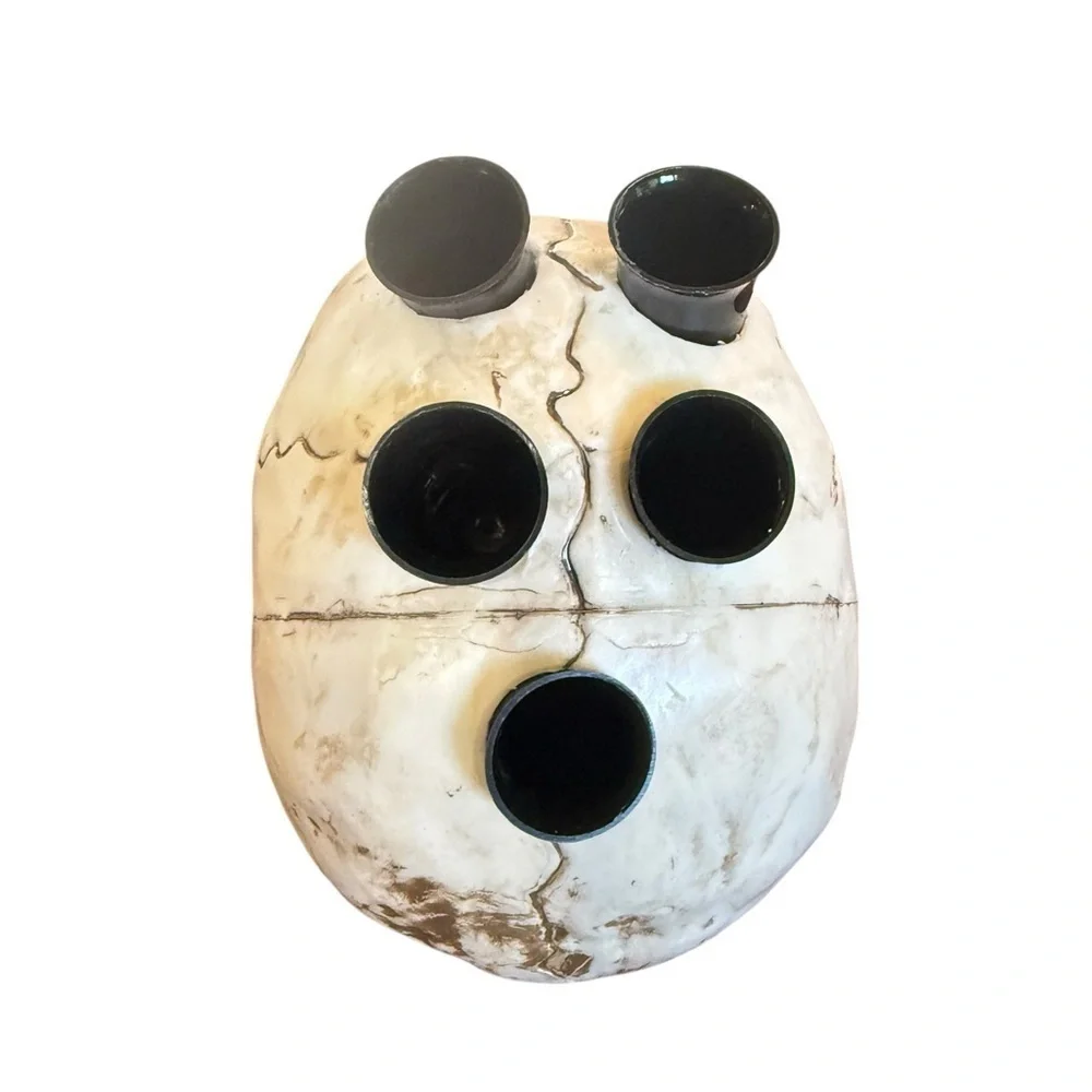 N/A realistic skull