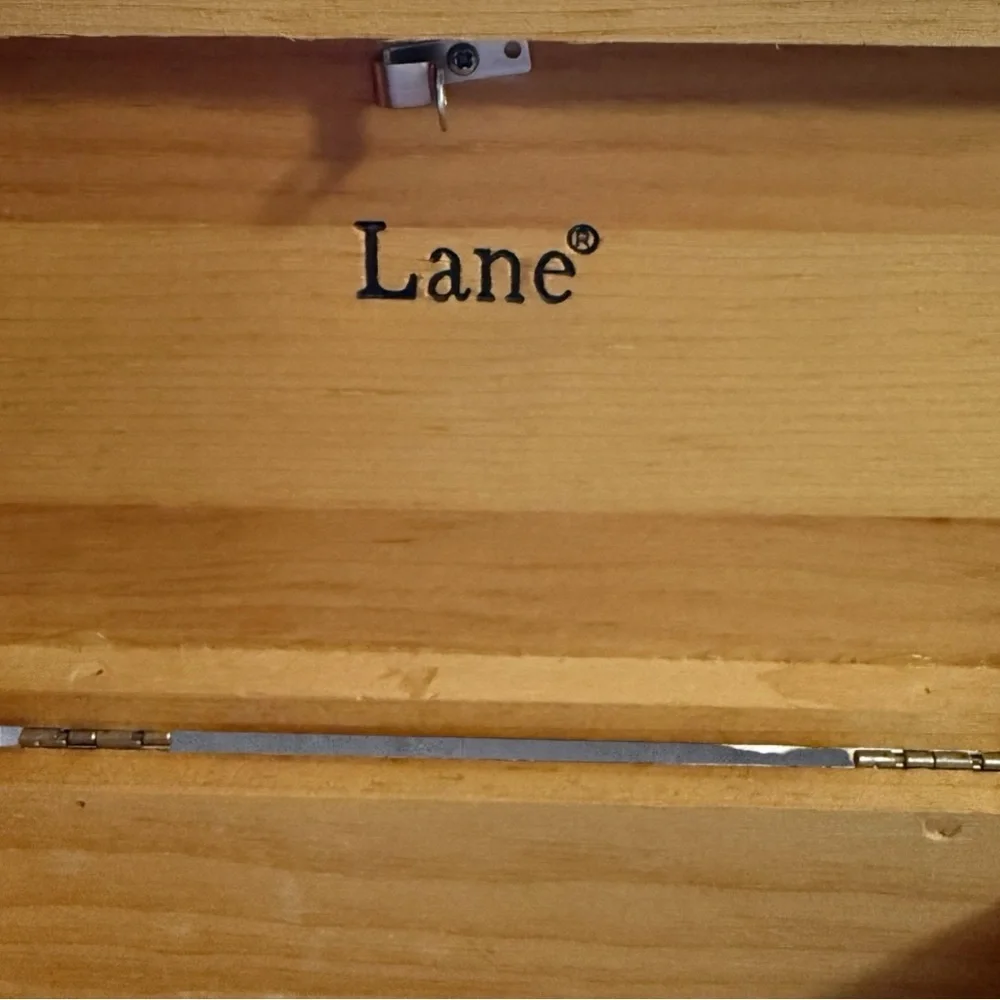 Lane please no