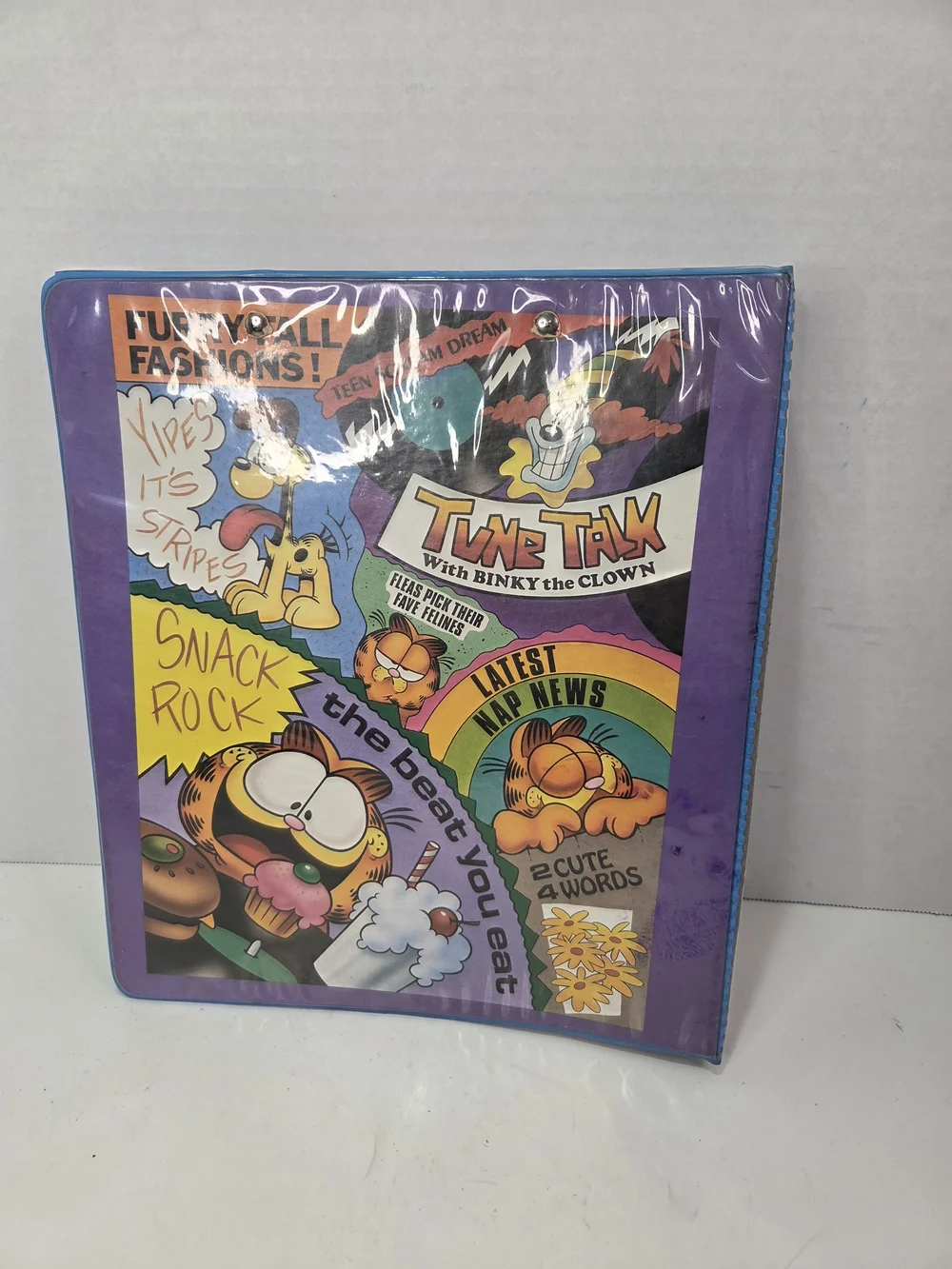 Vintage Mead Garfield Kitty Beat Notebook Three Ring Binder Retro 1978 Organizer