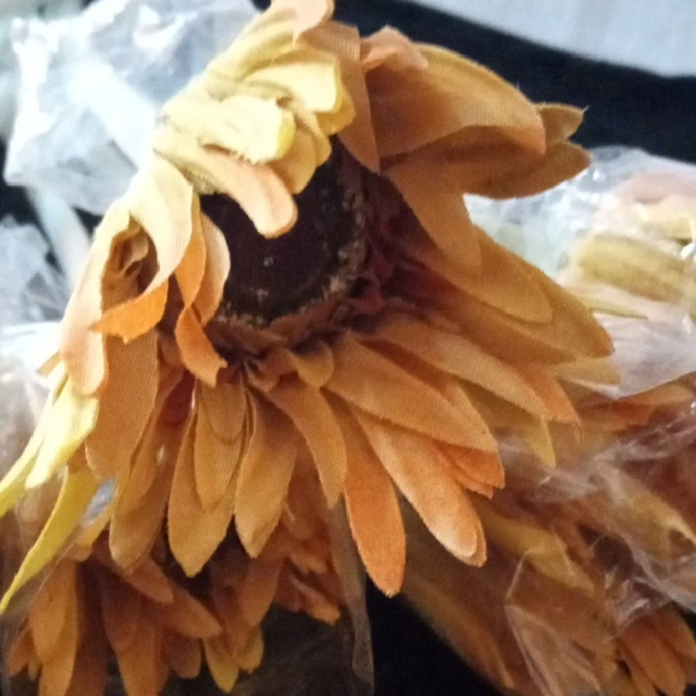N/A realistic nwot