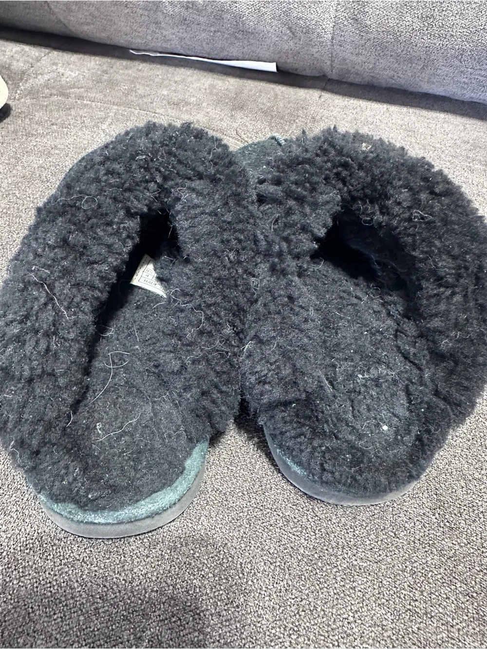 BearPaw 🖤 warm