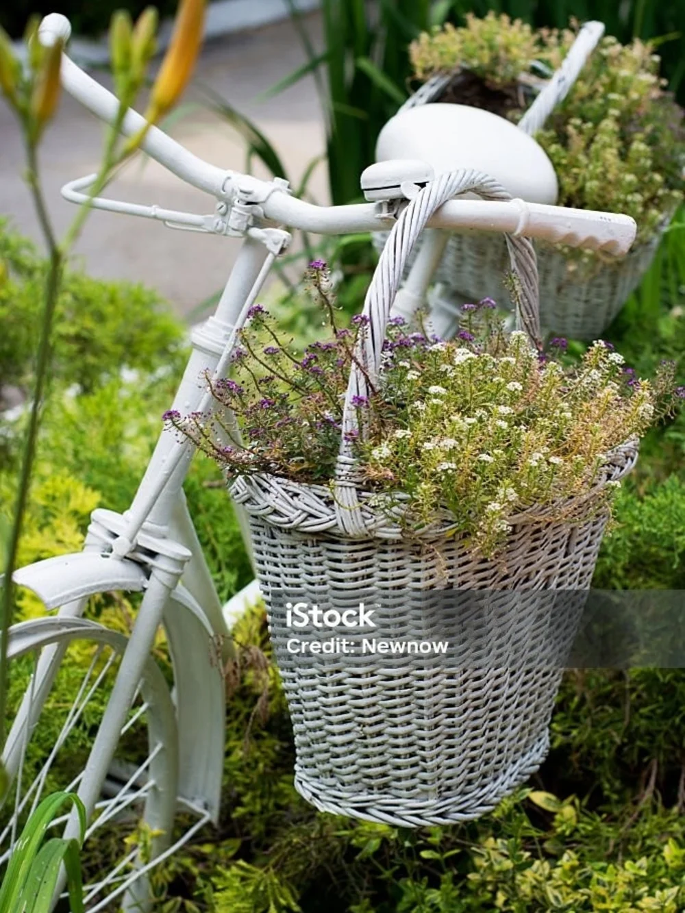 Wicker Bike Basket