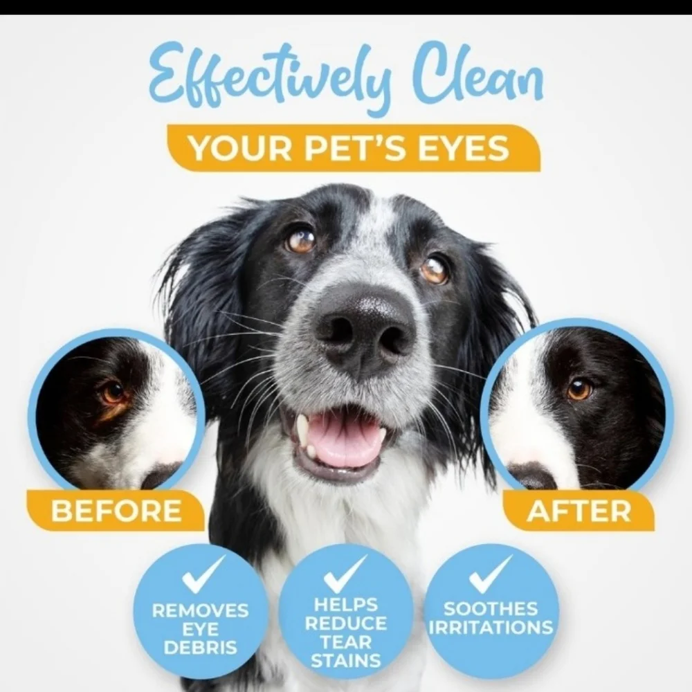 Heart4Kids dog eye