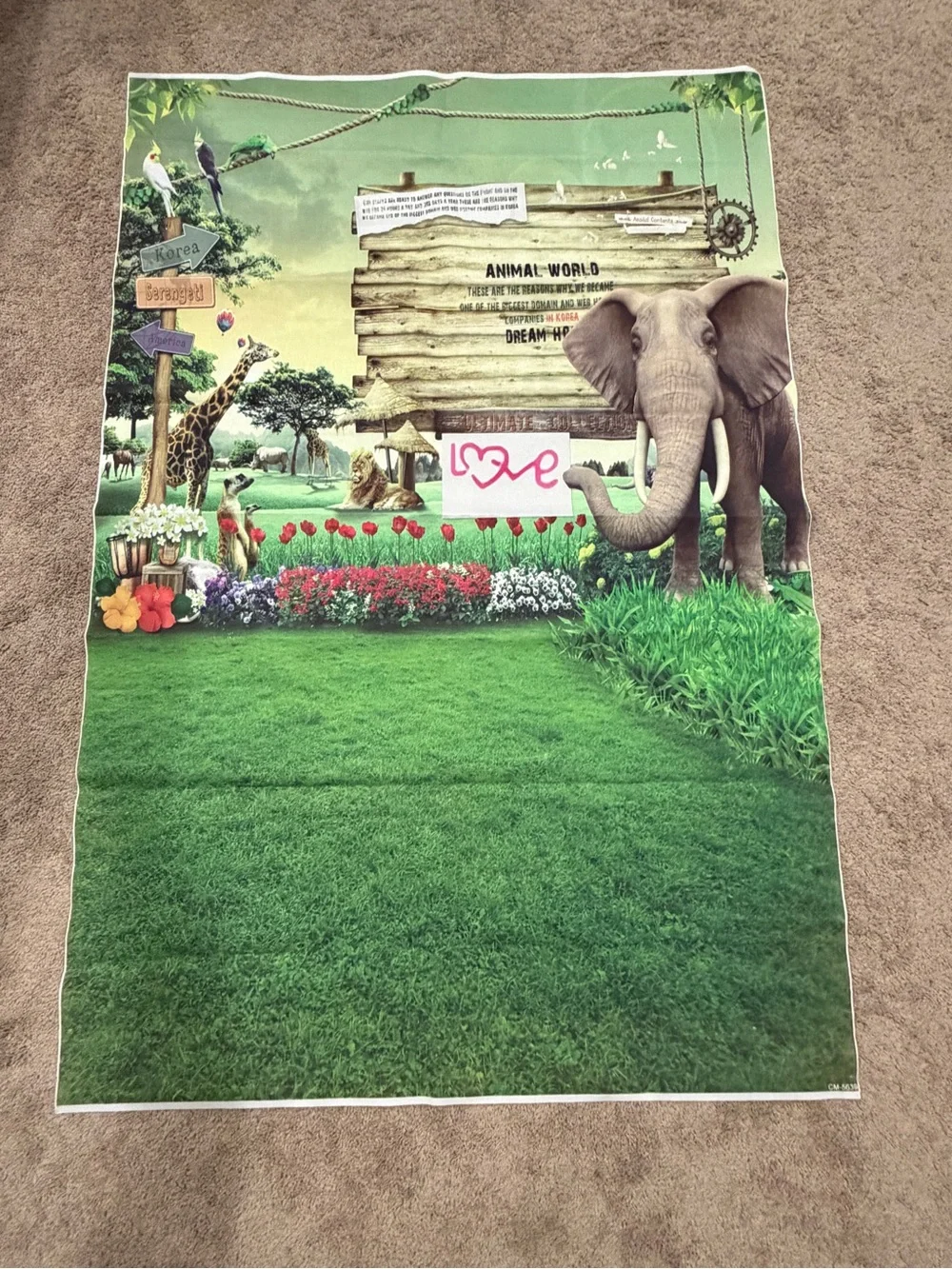 Zoo Backdrop