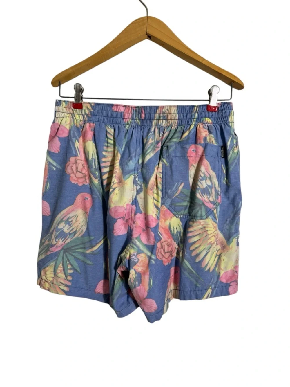 chubbies flaws mesh