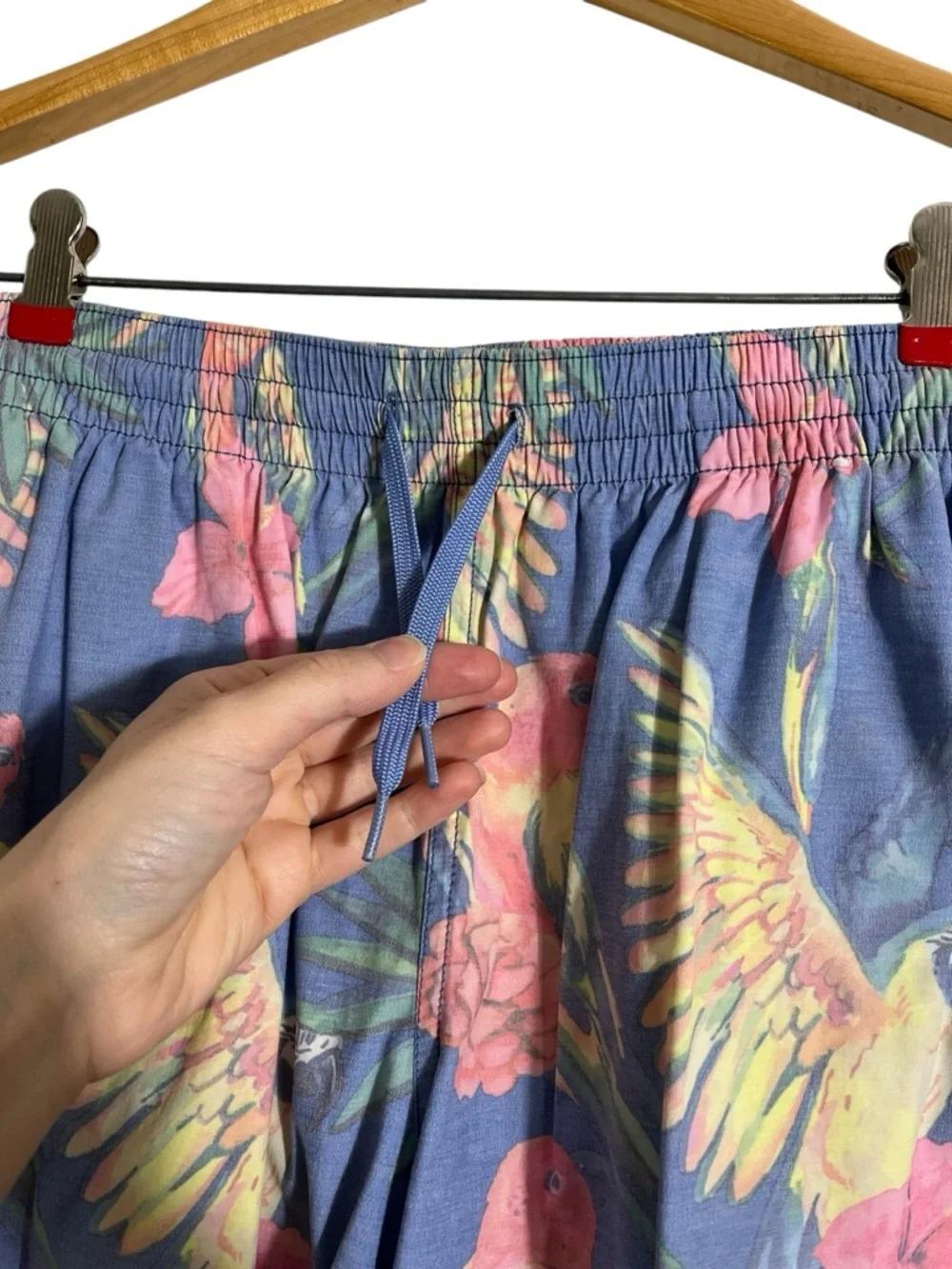 chubbies mesh detailed