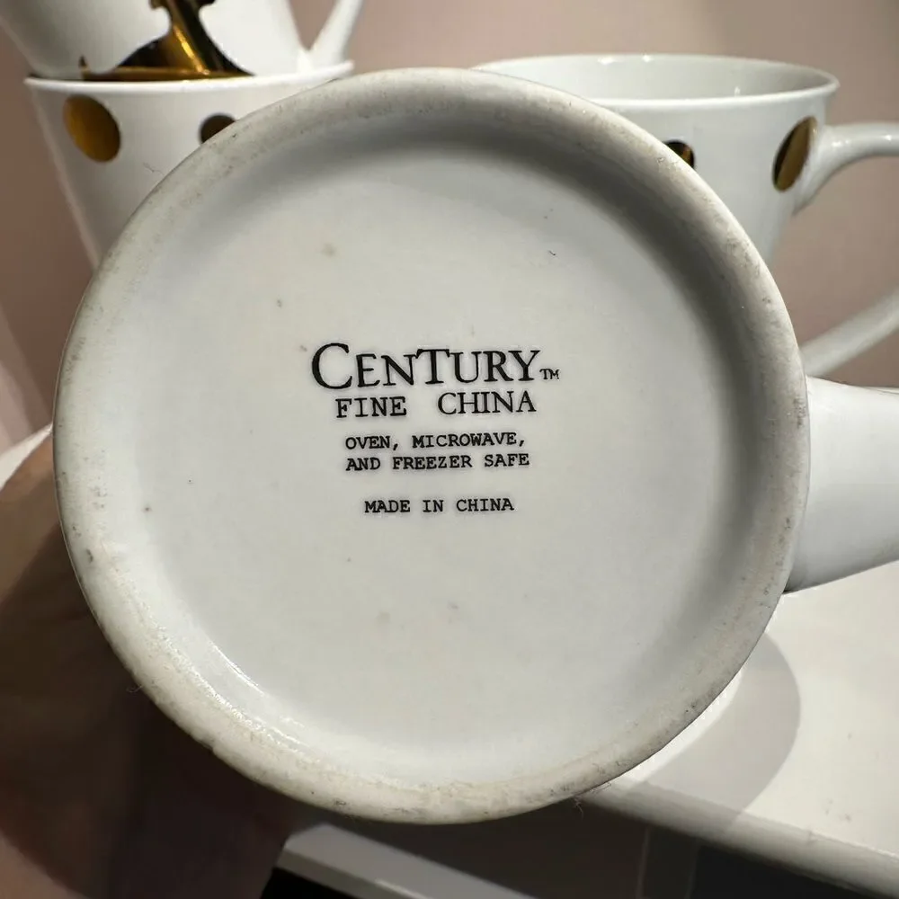 CENTURY great used