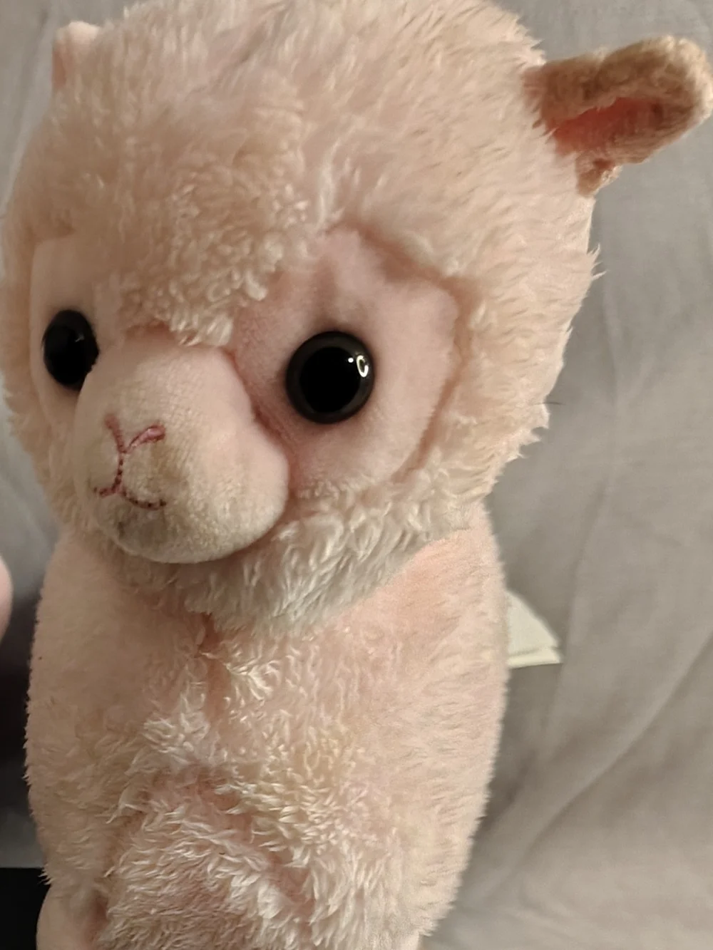 Kellytoy placing be only