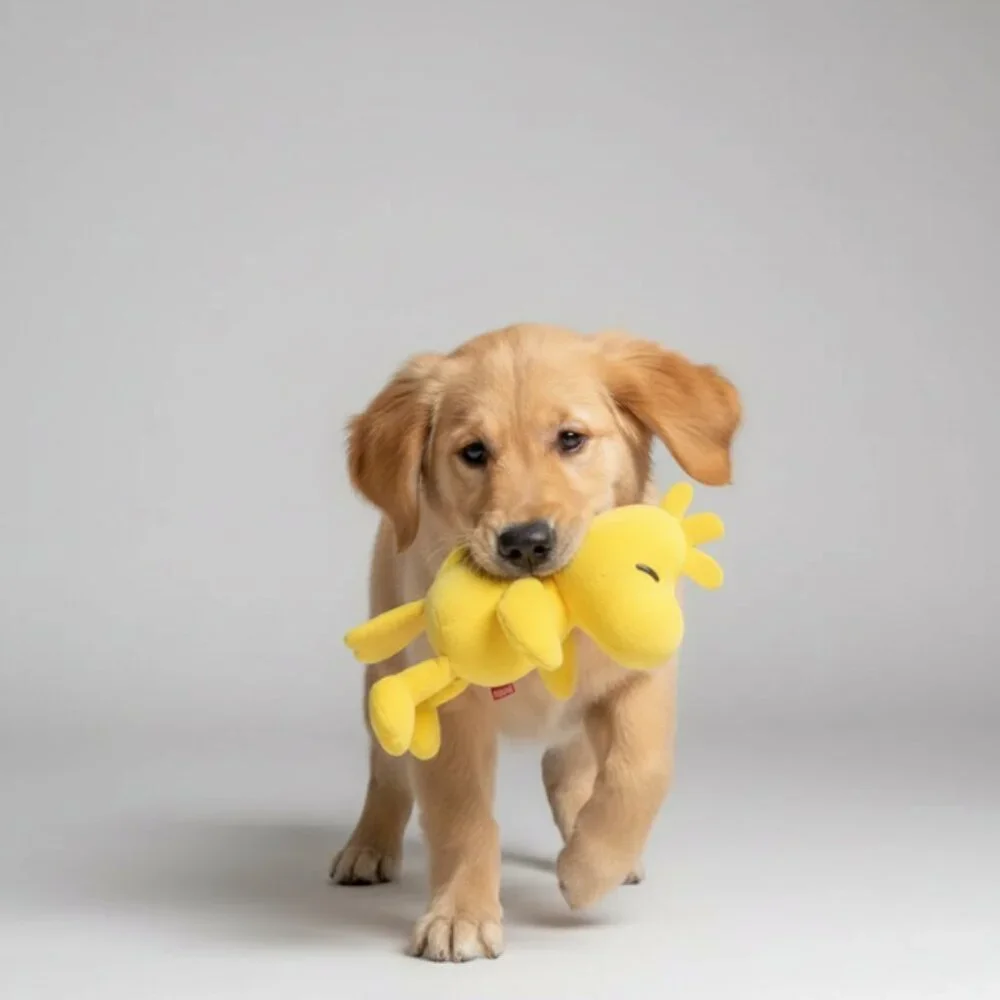 Peanuts Woodstock Large Plush Toy Just Play Soft Stuffed Animal