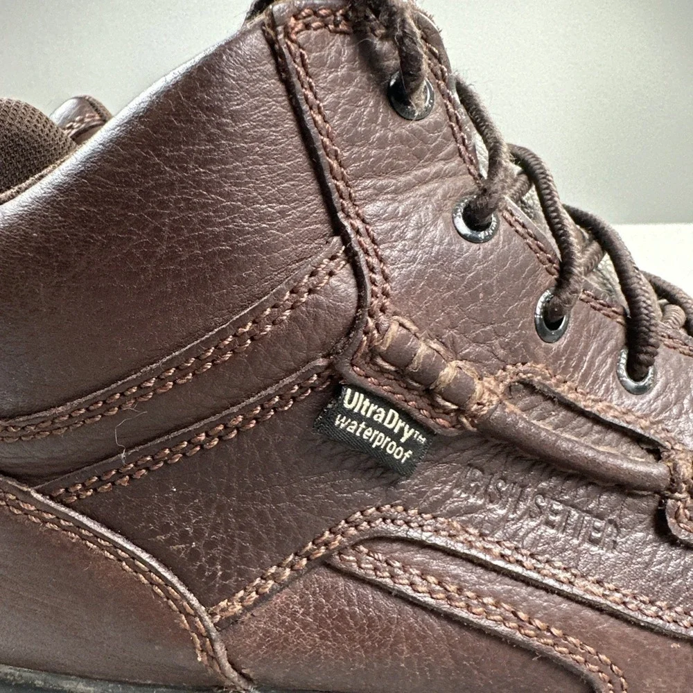 Irish Setter sale are