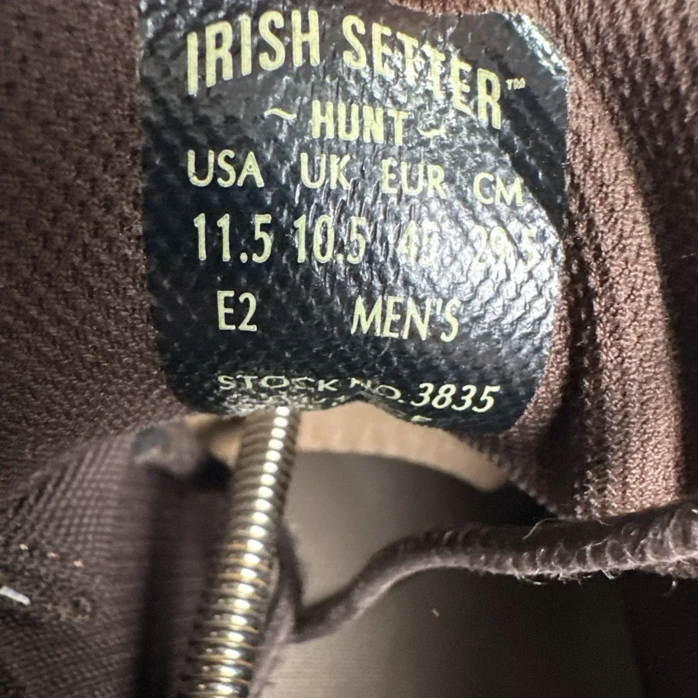 Irish Setter sale are