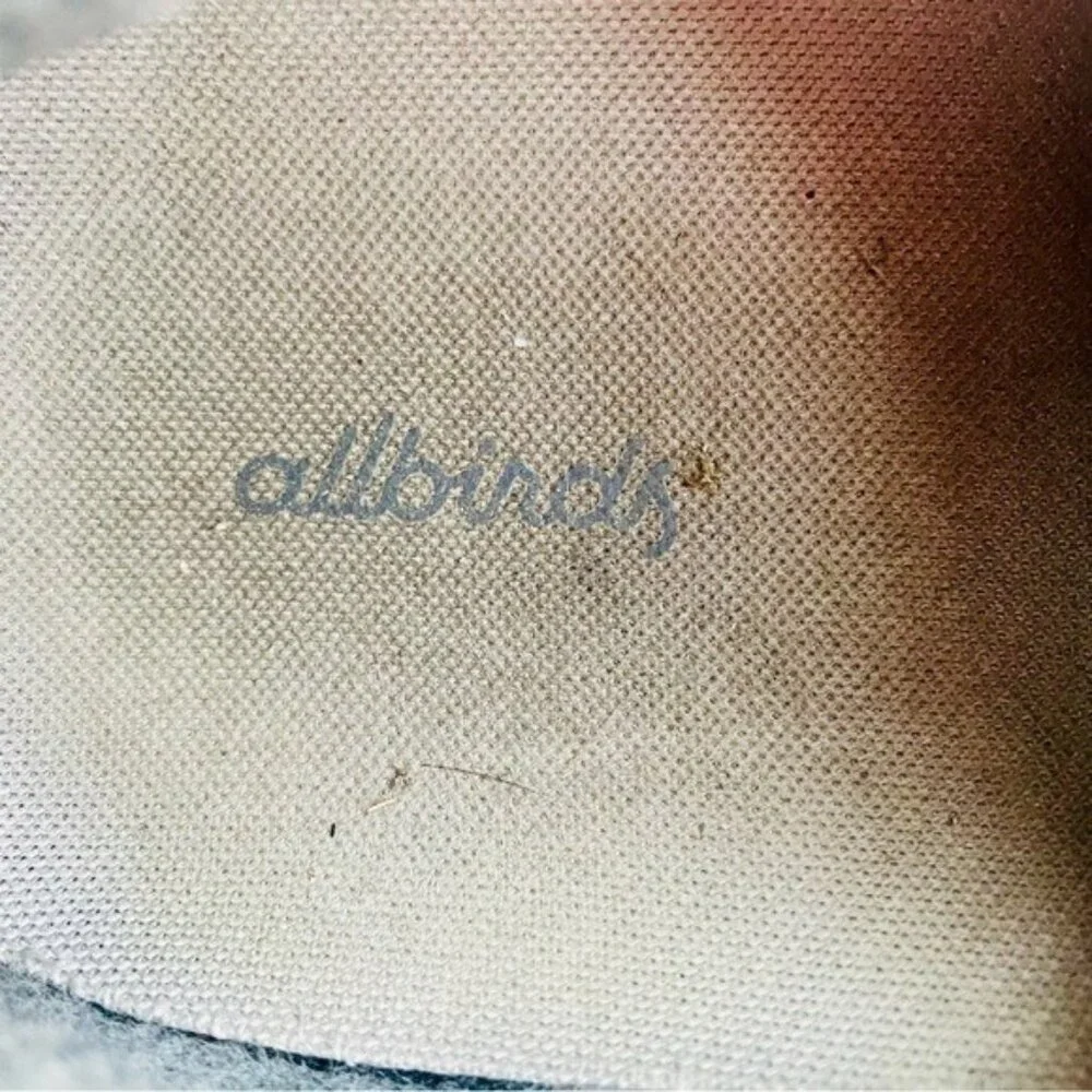 allbirds brand style