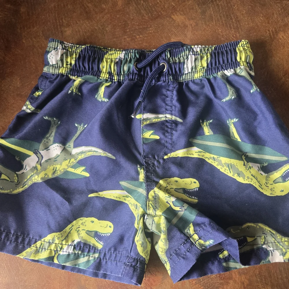 Carters carter dinosaur