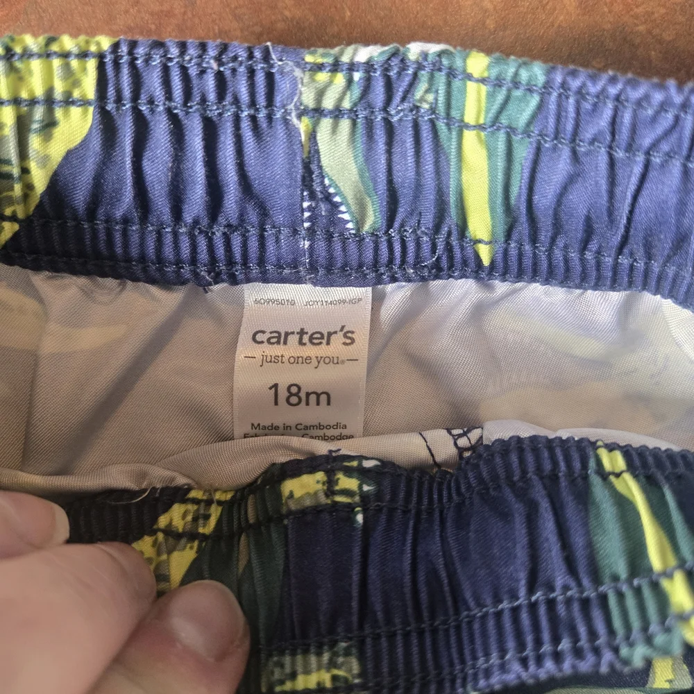 Carters carter dinosaur