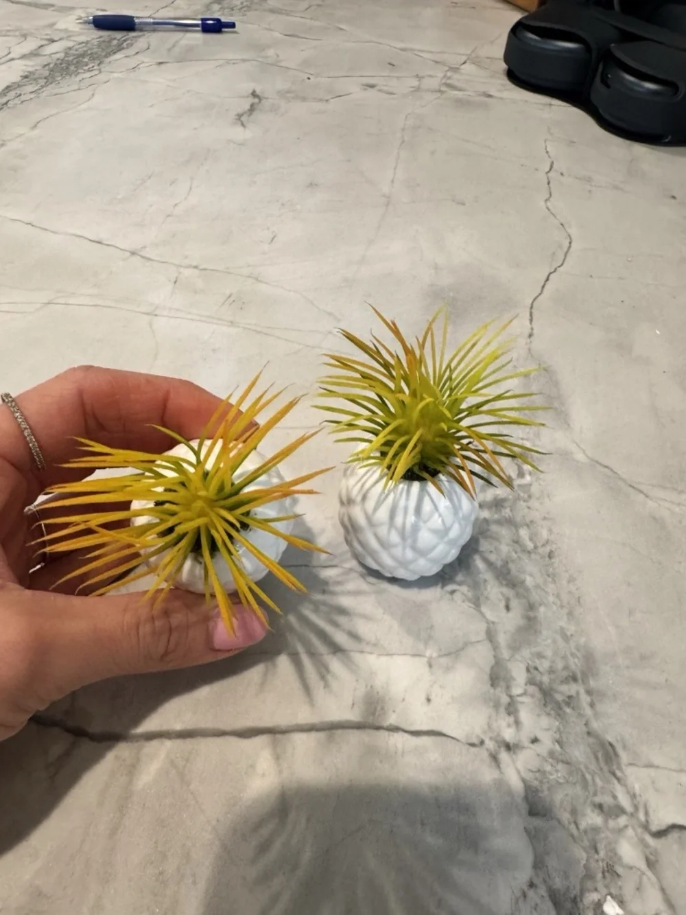 N/A white pineapple