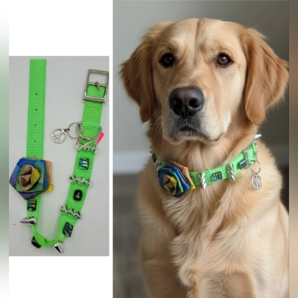 CUSTOMIZED dog collar