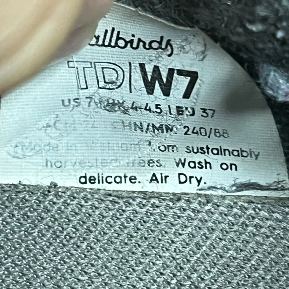 allbirds women’s size