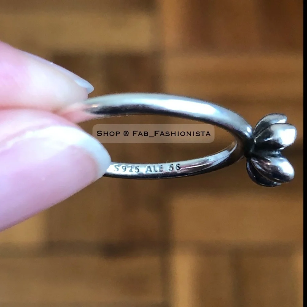 Pandora sterling silver