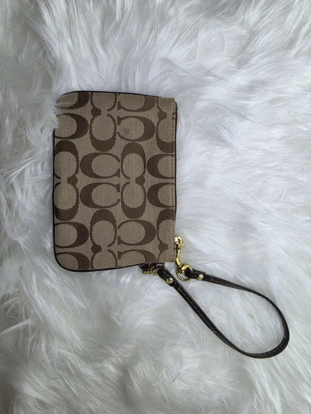 Coach Signature Canvas Wristlet in Brown
