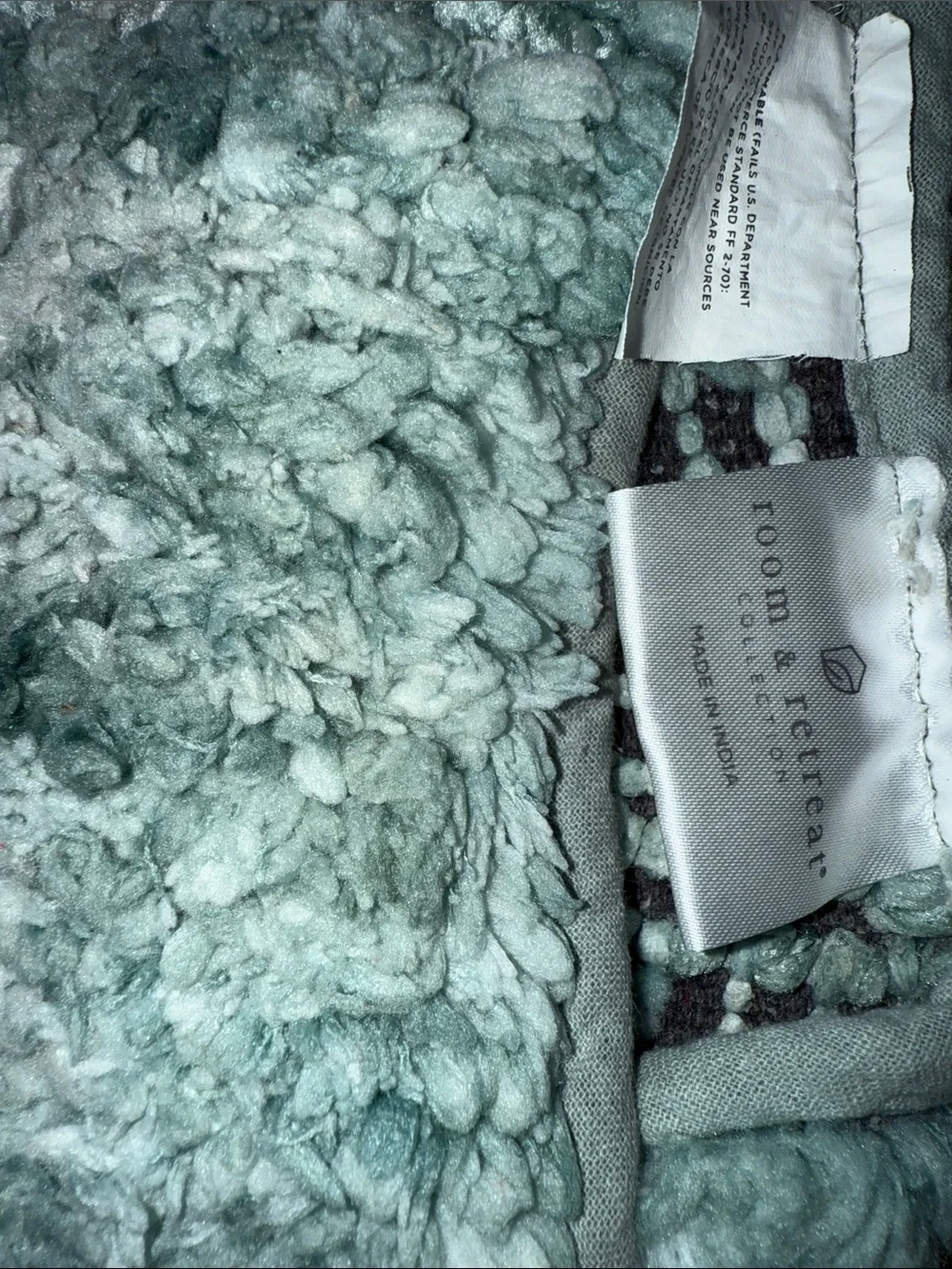 Plush Shaggy Area Rug in Seafoam Green